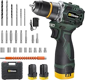 Gisam 16.8V Cordless Drill Driver, 2 In 1 Cordless Devicer, Max 50Nm Screwdriver Kit with 2 x 2000mAh Battery, 23+1 Gear Adjustment